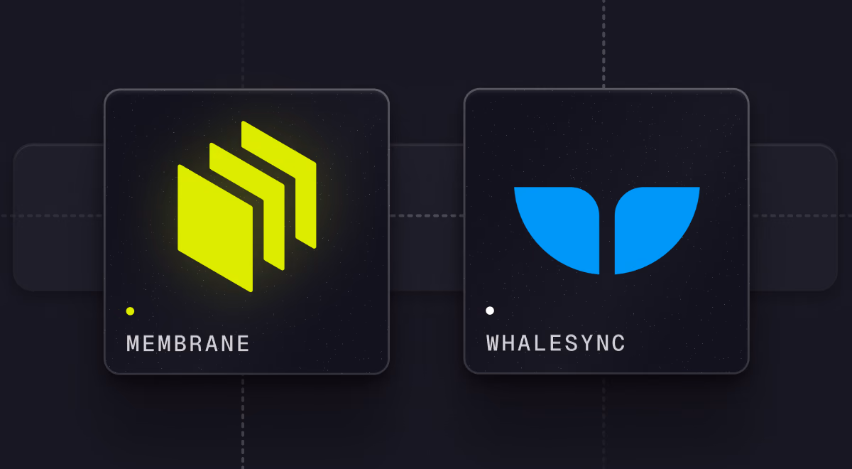 Whalesync builds connectors for their data-sync platform
